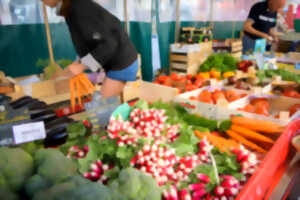 photo Marché Place des Bancs - Limoges