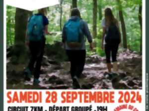 MARCHE SANTE NATURE ADAPTEE NOCTURNE