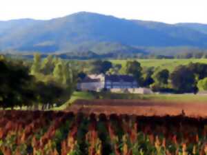 photo Conférence Le Château d'Ollwiller