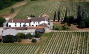 Journées Portes Ouvertes Château Petit Mouta - Château Chanteloiseau