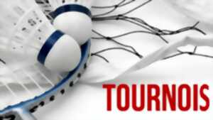 Badminton - Tournoi départemental des jeunes