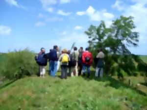 Rando-balade « Nature, paysages et patrimoine »