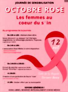 photo Octobre Rose à Carcans : journée de sensibilisation au cancer du sein