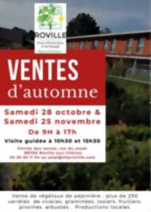 photo VENTES D'AUTOMNE