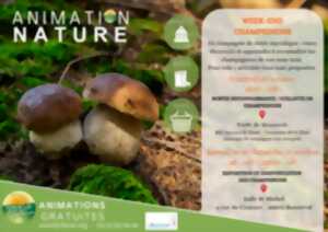 photo Exposition et identification des champignons