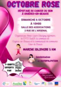 photo Marche Solidaire Octobre Rose