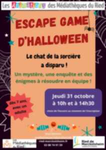 Escape game - le chat de la bibliothécaire a disparu