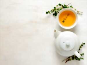 Atelier tisane : Sans Thé - Immunité