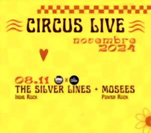 photo Circus : Concert The silver lines + Mosees