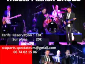 photo CONCERT TRIBUTE PATRICK BRUEL