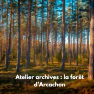 photo Atelier archives : la forêt d'Arcachon