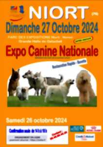 photo Exposition canine nationale à Niort