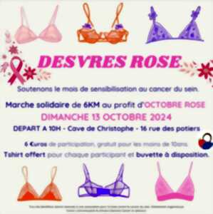 photo Desvres Rose