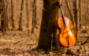 photo Concert - Le violoncelle au fil du temps