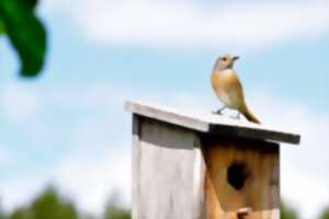 photo NICHOIRS POUR OISEAUX