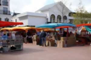 photo Marché d'Arcachon