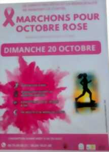 photo Marchons pour Octobre Rose à Marigny-le-Châtel