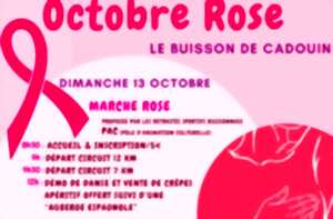 photo Octobre rose : marche et film