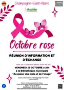 photo Octobre Rose à Champagné - Saint - Hilaire