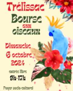 photo BOURSE AUX OISEAUX