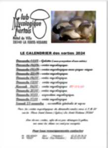 photo Sorties mycologiques