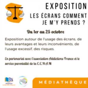 EXPOSITION LES ECRANS COMMENT JE M'Y PRENDS - ANNEMIE GODERIS