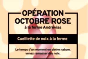 photo Opération octobre rose