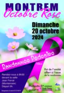 photo Octobre rose : marche