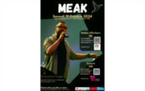 photo Concert : Meak