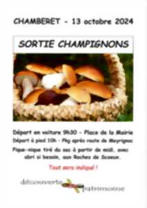 photo Sortie champignons