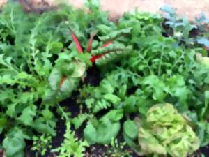 photo Pourquoi un potager en permaculture? à le Bény-Bocage