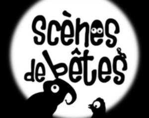 Scènes de bêtes