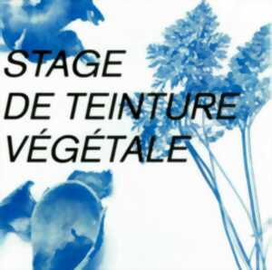 Stage de teinture végétale aux Ateliers des Arques