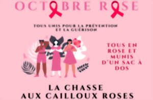 photo Octobre Rose | La chasse aux cailloux roses