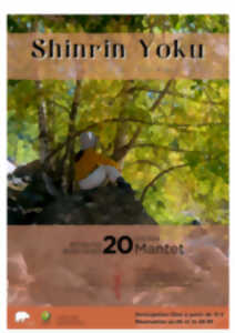 SHINRIN YOKU (BAIN DE FORÊT)