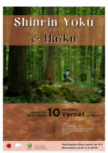 photo SHINRIN YOKU (BAIN DE FORÊT)