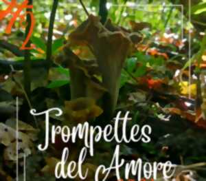 photo Trompettes del Amore