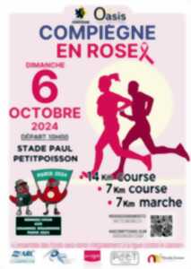 photo Octobre rose - Compiègne en rose