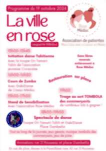 photo Octobre Rose 2024 à Lesparre : la Ville en Rose