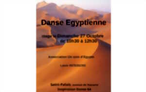 photo Stage de Danse Egyptienne