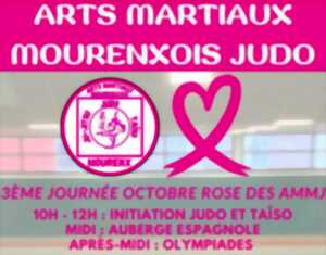 photo Octobre Rose des Arts Martiaux