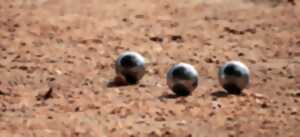 Concours de Pétanque en doublette