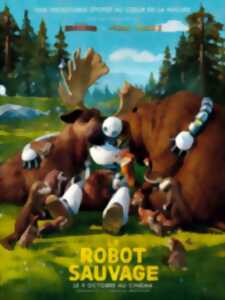 Le robot sauvage