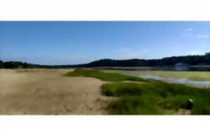 photo Découverte naturaliste et historique du lac d'hossegor