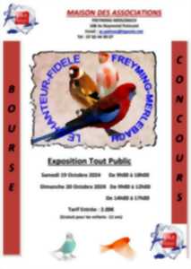 photo CONCOURS ORNITHOLOGIQUE