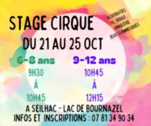 Stages de cirque