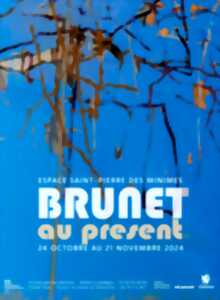 photo Brunet au présent