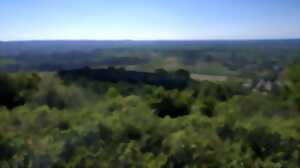 photo MARCHE ENTRE GARRIGUE ET PLAINE VITICOLE