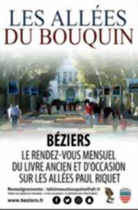 photo LES ALLEES DU BOUQUIN