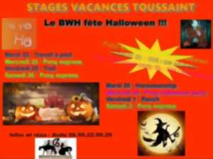 photo STAGES VACANCES DE LA TOUSSAINT – BOLUFER WESTERN HORSE FÊTE HALLOWEEN